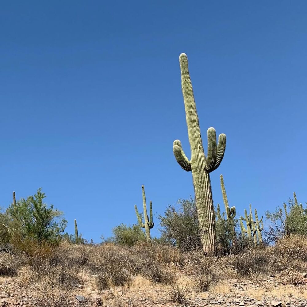Sur la route près d’Arcosanti, avant d’arrive… - Antoine Vigne