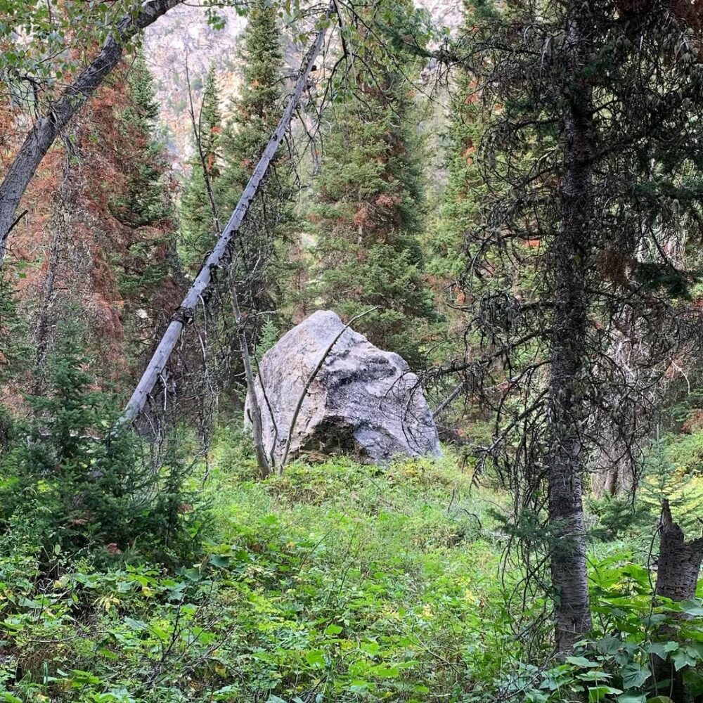 Les roches glaciaires, abandonnées par les morain… - Antoine Vigne