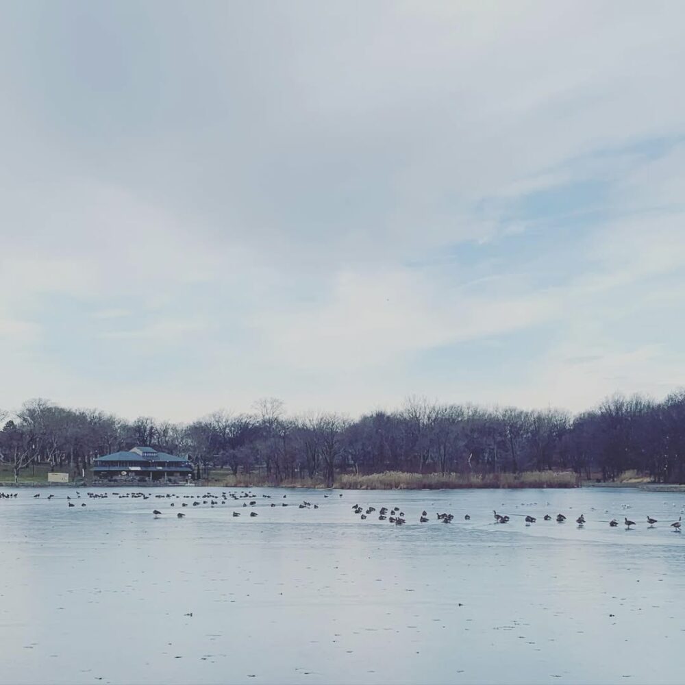 #winter #quietandthinking… - Antoine Vigne