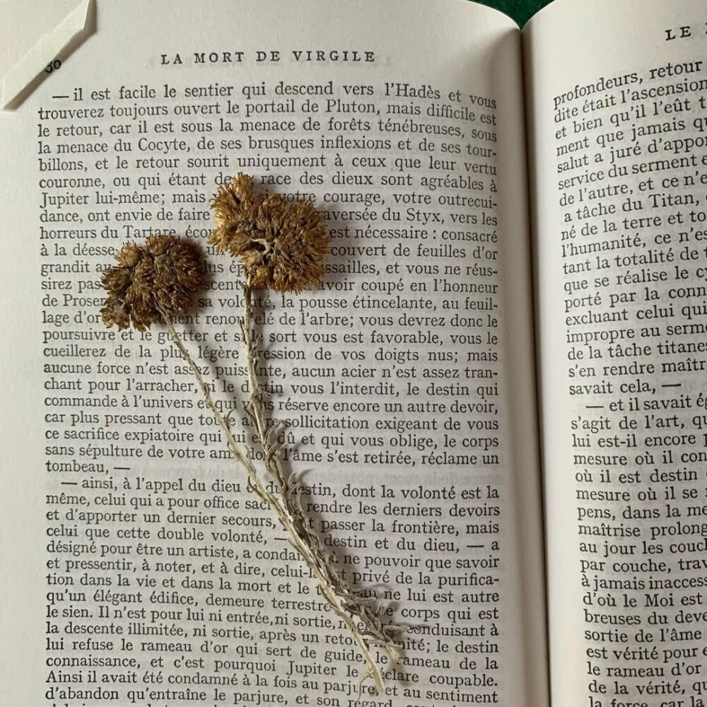 Souvenirs de Corse #leslivresserventàtout #immort… - Antoine Vigne