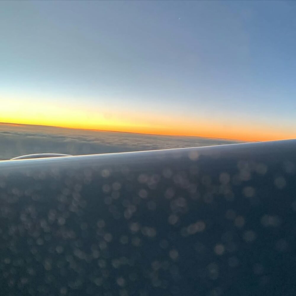 #flying #youwillalwaysshine… - Antoine Vigne