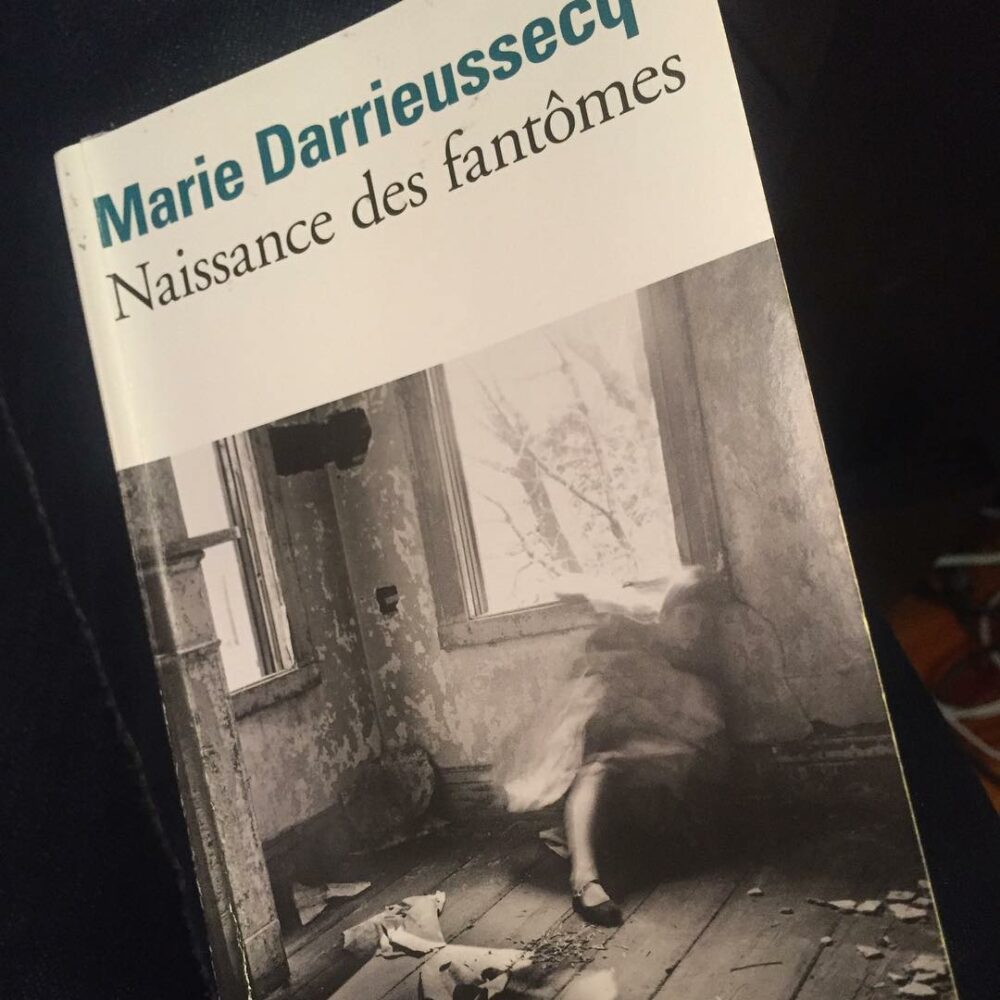 Je n’avais jamais lu Naissance des fantômes de … - Antoine Vigne