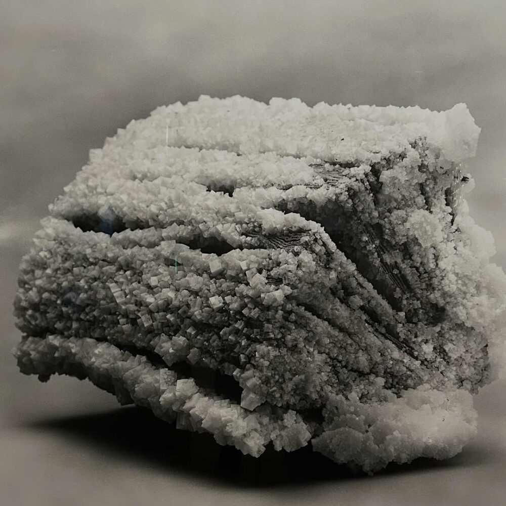 À l’expo sur l’Apocalypse de la BNF #tacitade… - Antoine Vigne