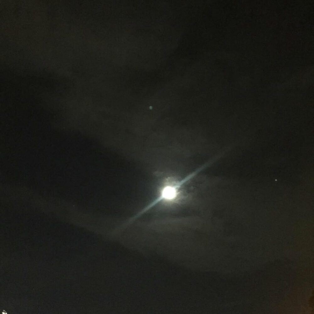 La lune, presque pleine, 50 ans après l’arrivé… - Antoine Vigne