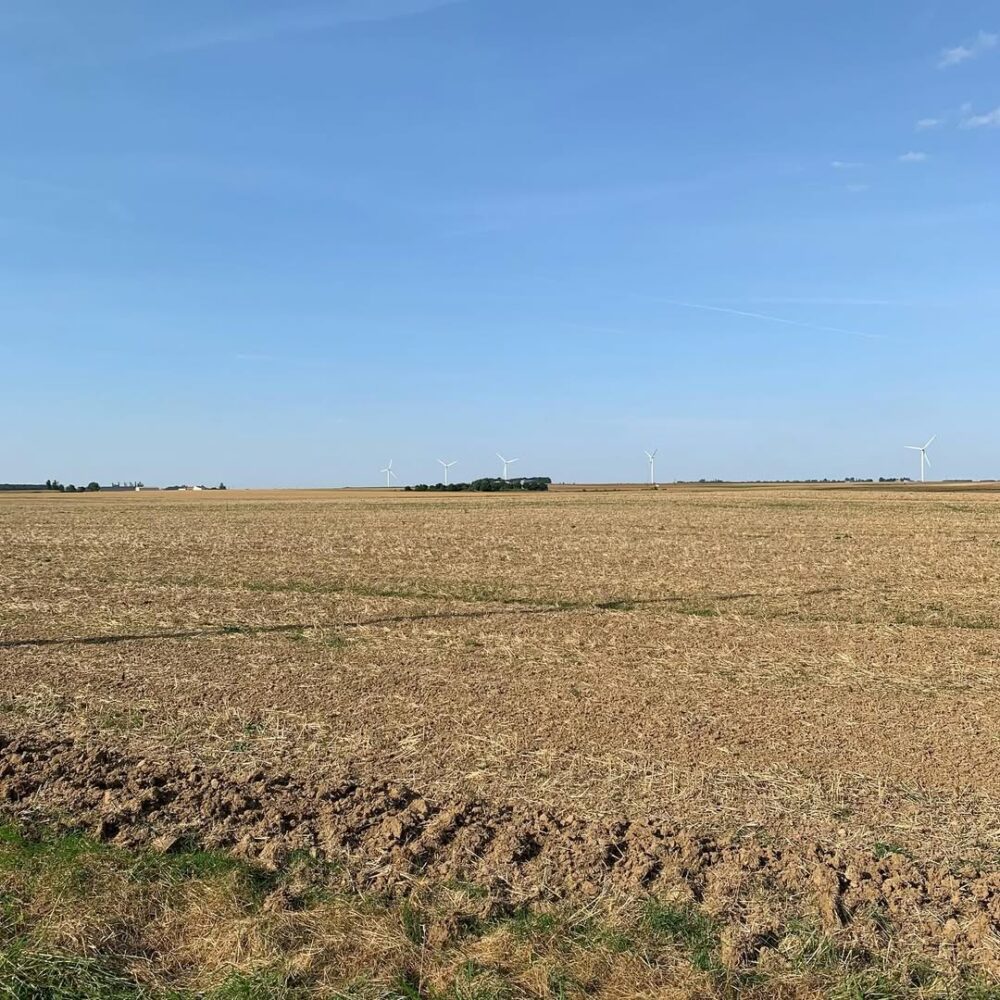 La plaine, mon royaume… #laplaine #royaume #labe… - Antoine Vigne