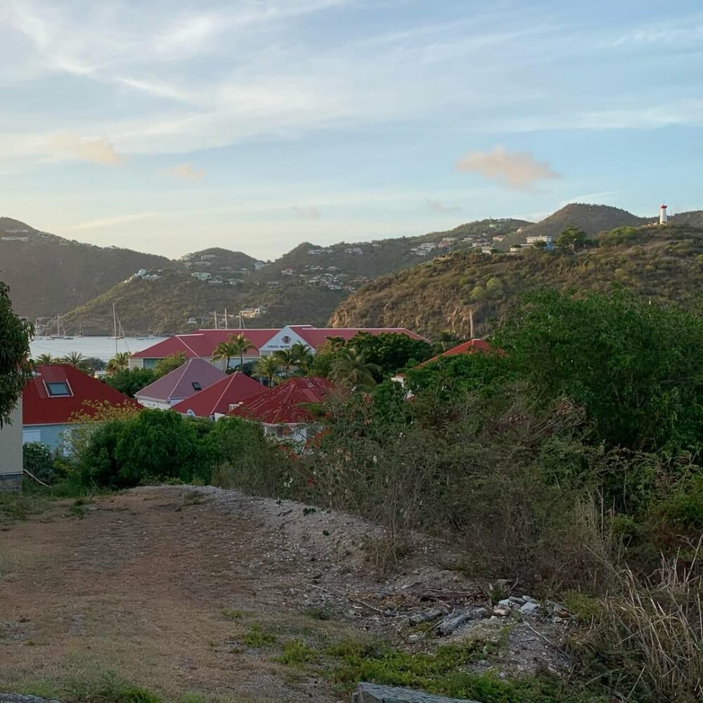 Une île étrange, l’aridité du sol, la végét… - Antoine Vigne