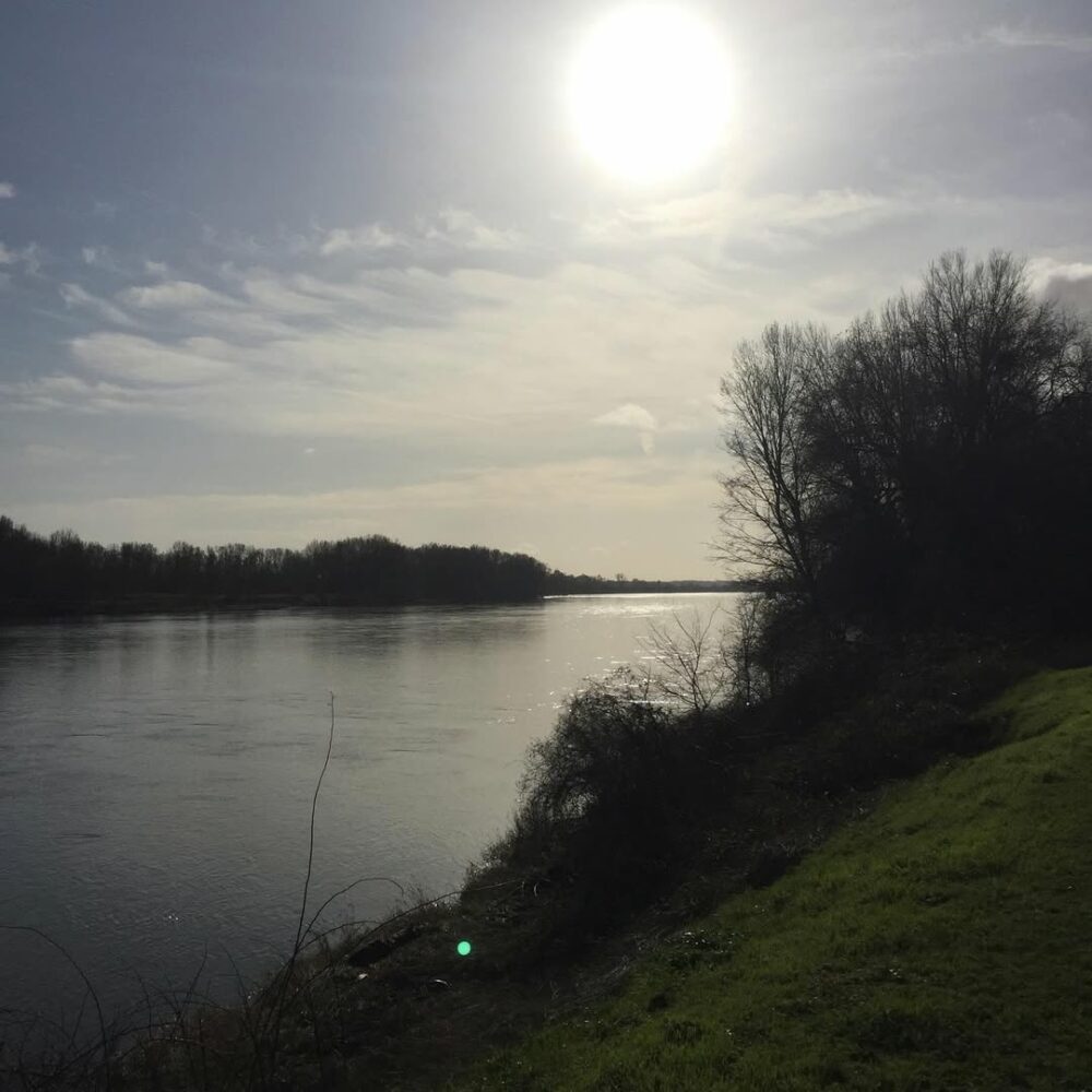 La Loire de ma grand-mère, qui m’émeut toujour… - Antoine Vigne