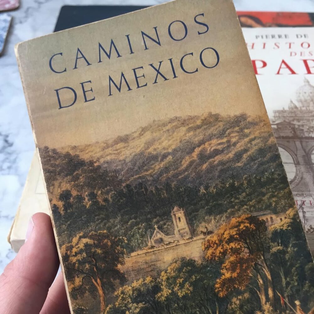 Parmi les livres trouvés au Mexique. Ces photos e… - Antoine Vigne