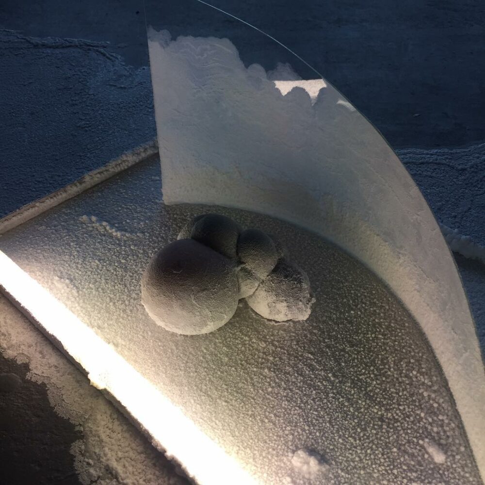 Beautiful work of my fiend Will Lamson at the Knoc… - Antoine Vigne