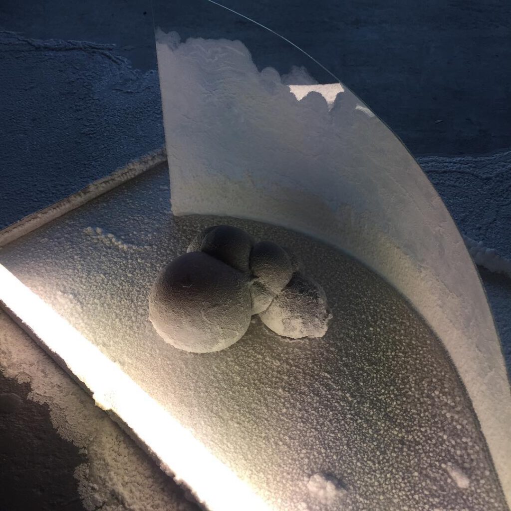 Beautiful work of my fiend Will Lamson at the Knoc… - Antoine Vigne