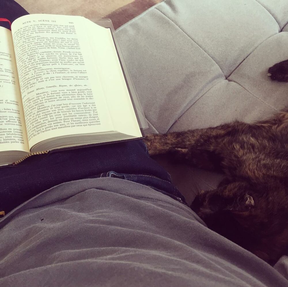 Sunday morning… #cat #shakespeare #kinglear… - Antoine Vigne