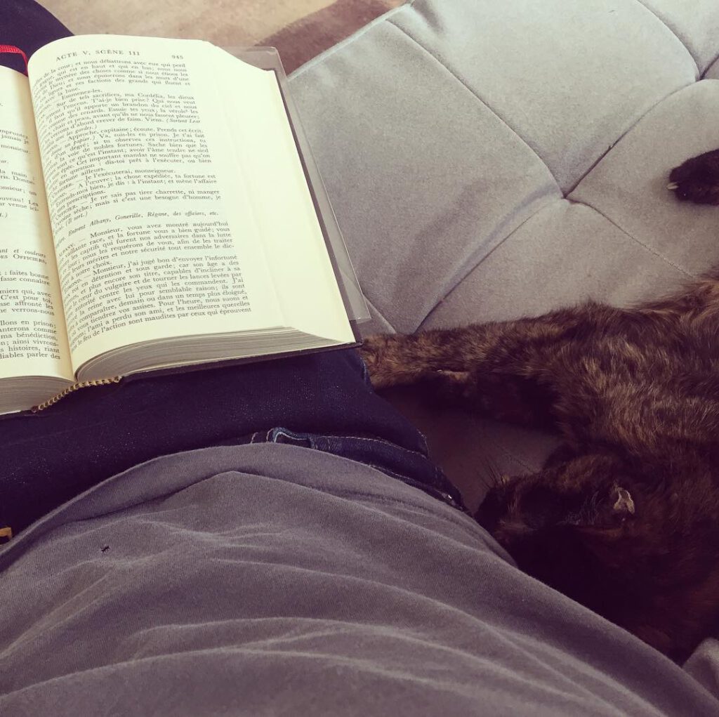 Sunday morning… #cat #shakespeare #kinglear… - Antoine Vigne
