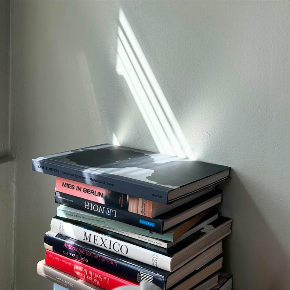 Déménagement, les livres s’entassent…

le da… - Antoine Vigne