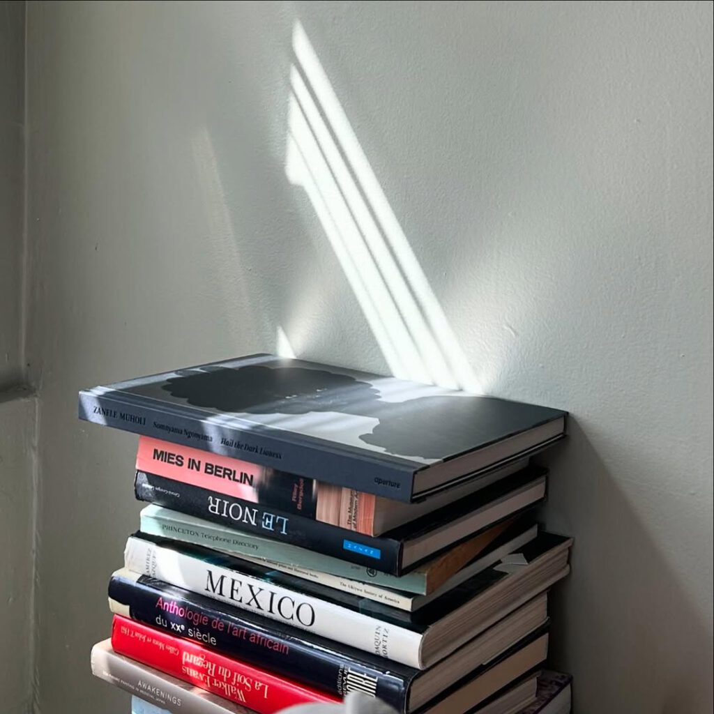 Déménagement, les livres s’entassent…

le da… - Antoine Vigne