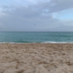 La mer de Floride (je sais, c’est l’Océan, ma… - Antoine Vigne