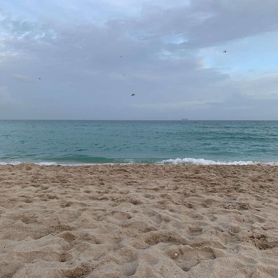 La mer de Floride (je sais, c’est l’Océan, ma… - Antoine Vigne