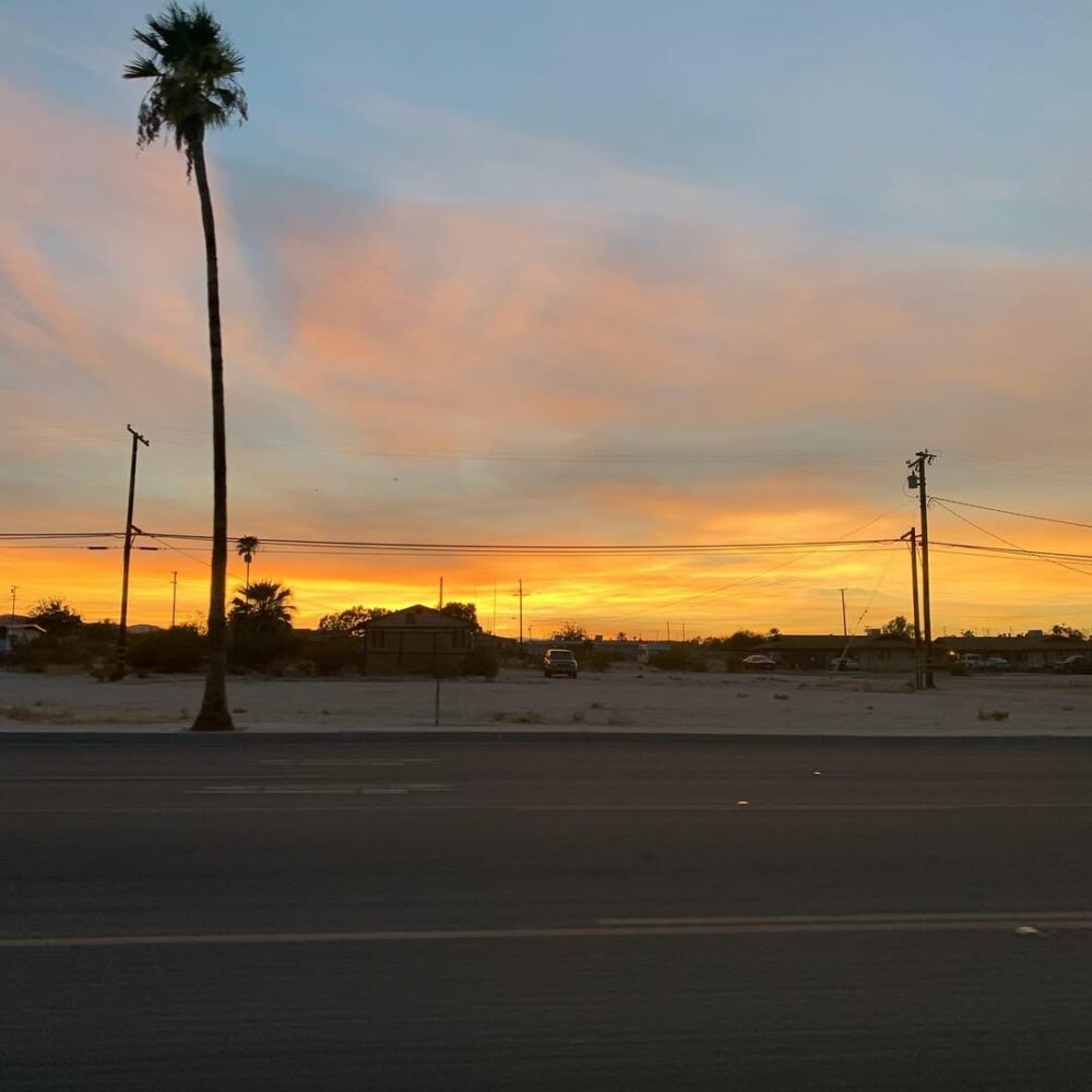 La route entre Vidal Junction et Joshua Tree #suns… - Antoine Vigne