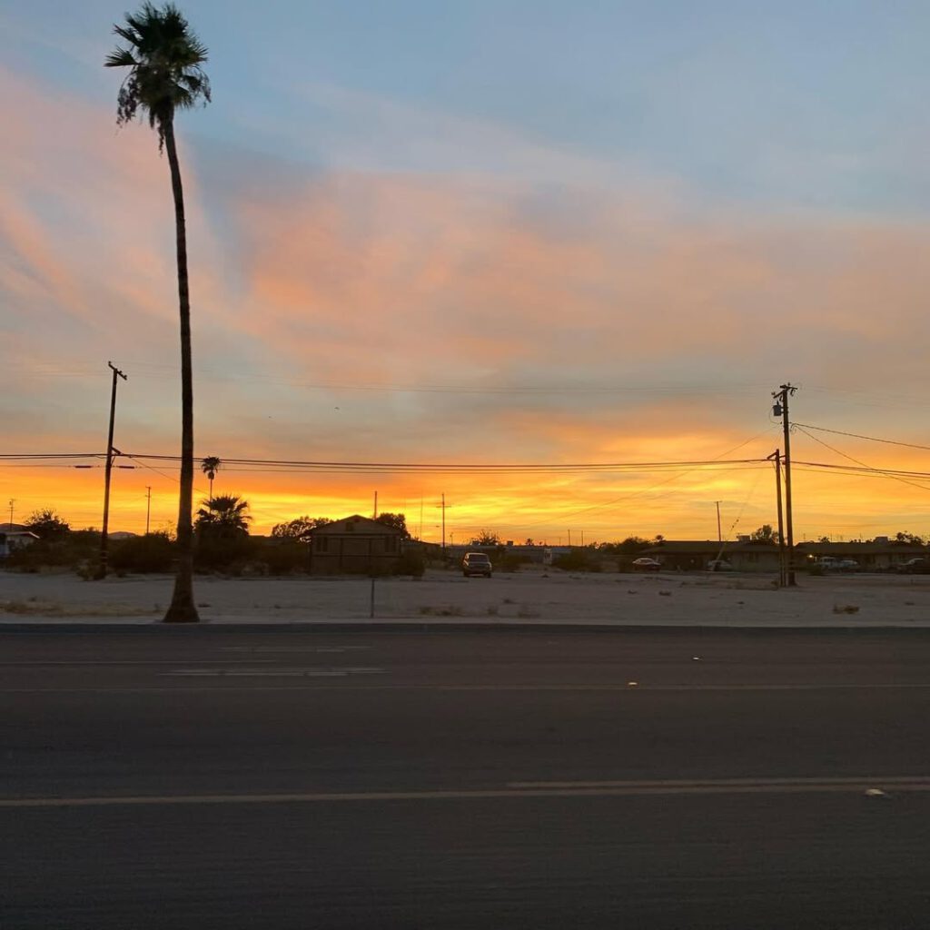 La route entre Vidal Junction et Joshua Tree #suns… - Antoine Vigne