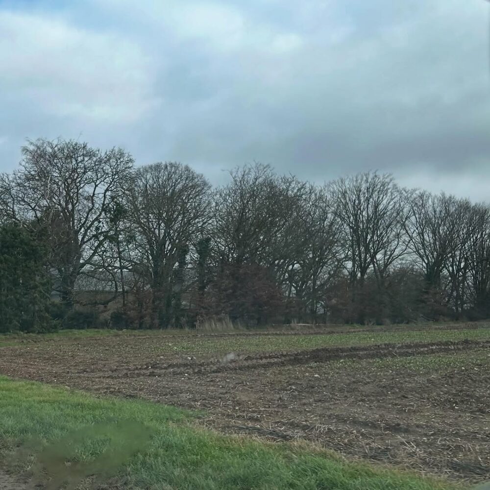 Des haies, les champs, la plaine, ma plaine. Trois… - Antoine Vigne