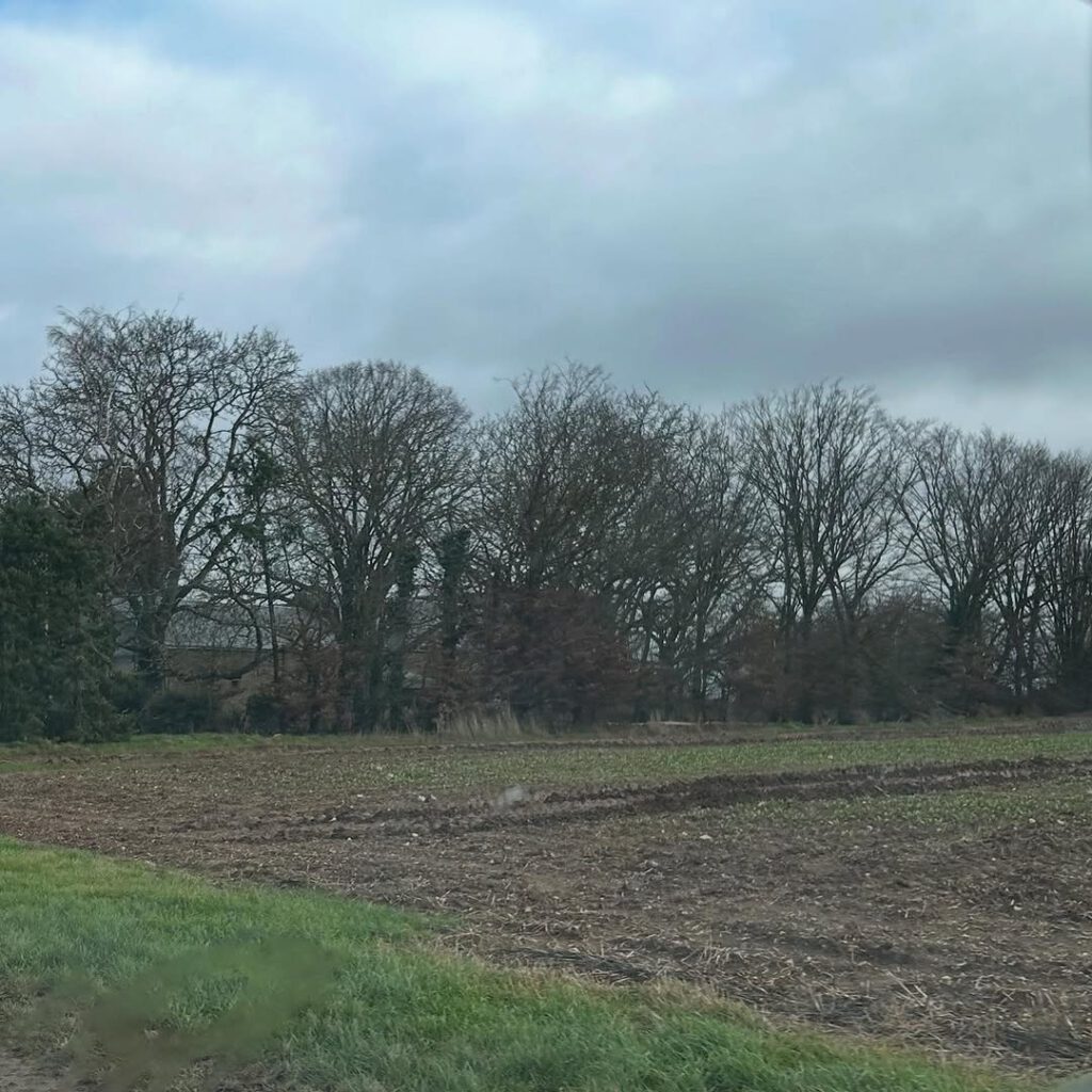 Des haies, les champs, la plaine, ma plaine. Trois… - Antoine Vigne