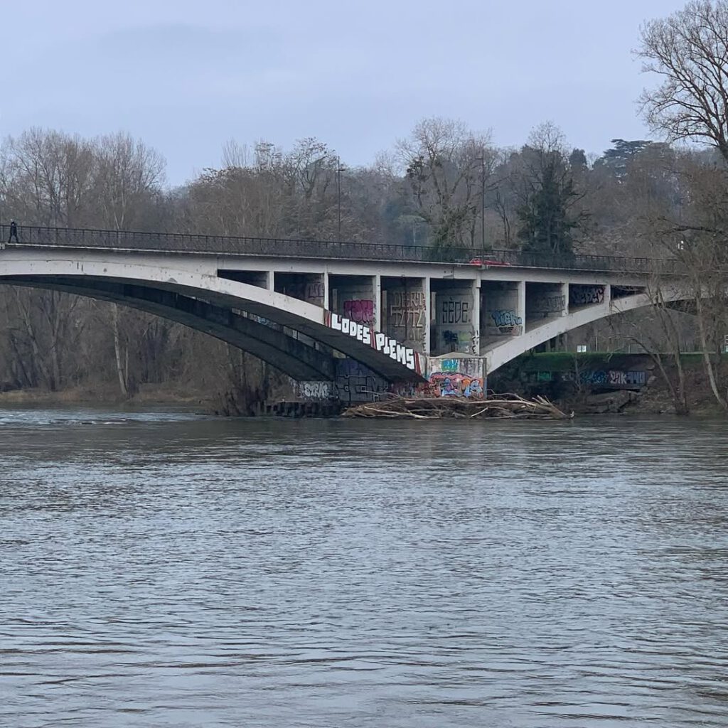 deux canards glissent après un bout de pain dans … - Antoine Vigne
