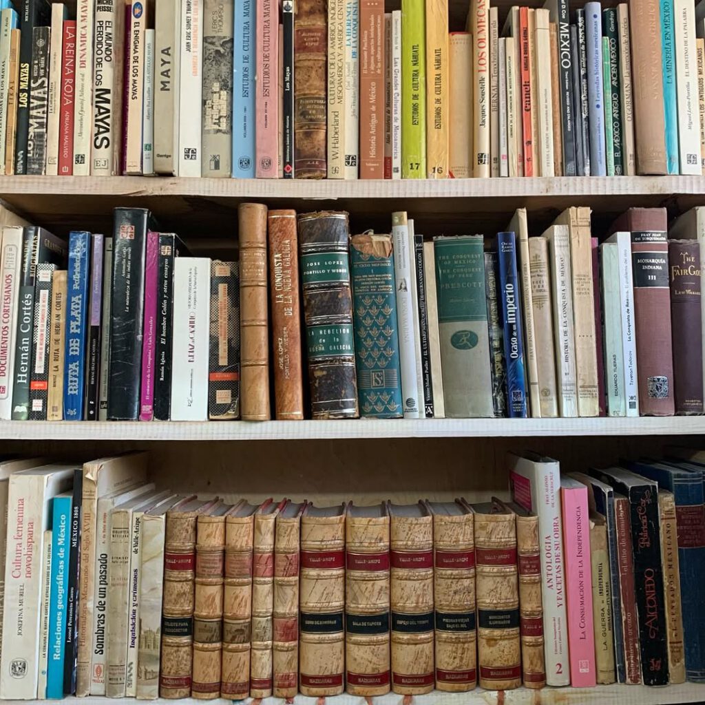 D’autres journées mexicaines, des livres que je… - Antoine Vigne