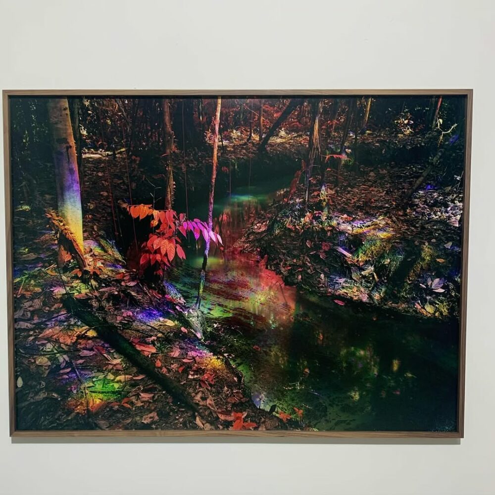 L’extraordinaire installation video de Richard M… - Antoine Vigne