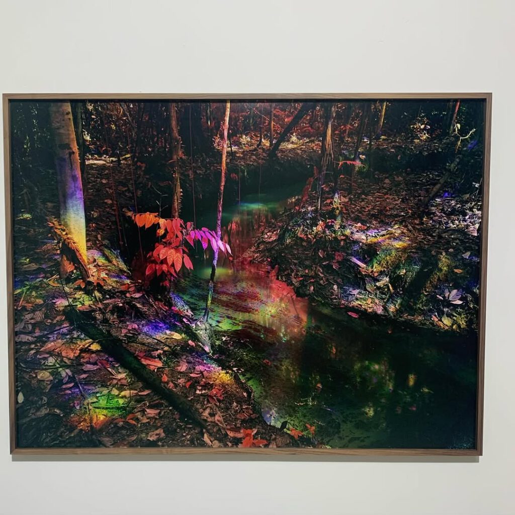 L’extraordinaire installation video de Richard M… - Antoine Vigne