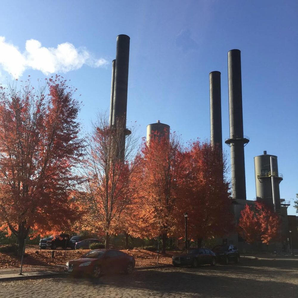 Petit saut dans l’automne des grandes plaines à… - Antoine Vigne