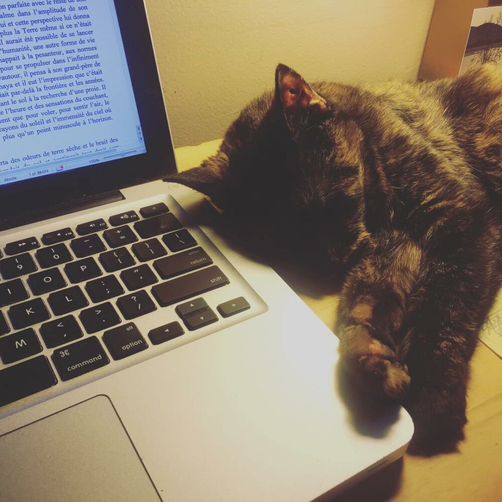 Écrire avec ma bonne vieille chatte a mes côtés… - Antoine Vigne