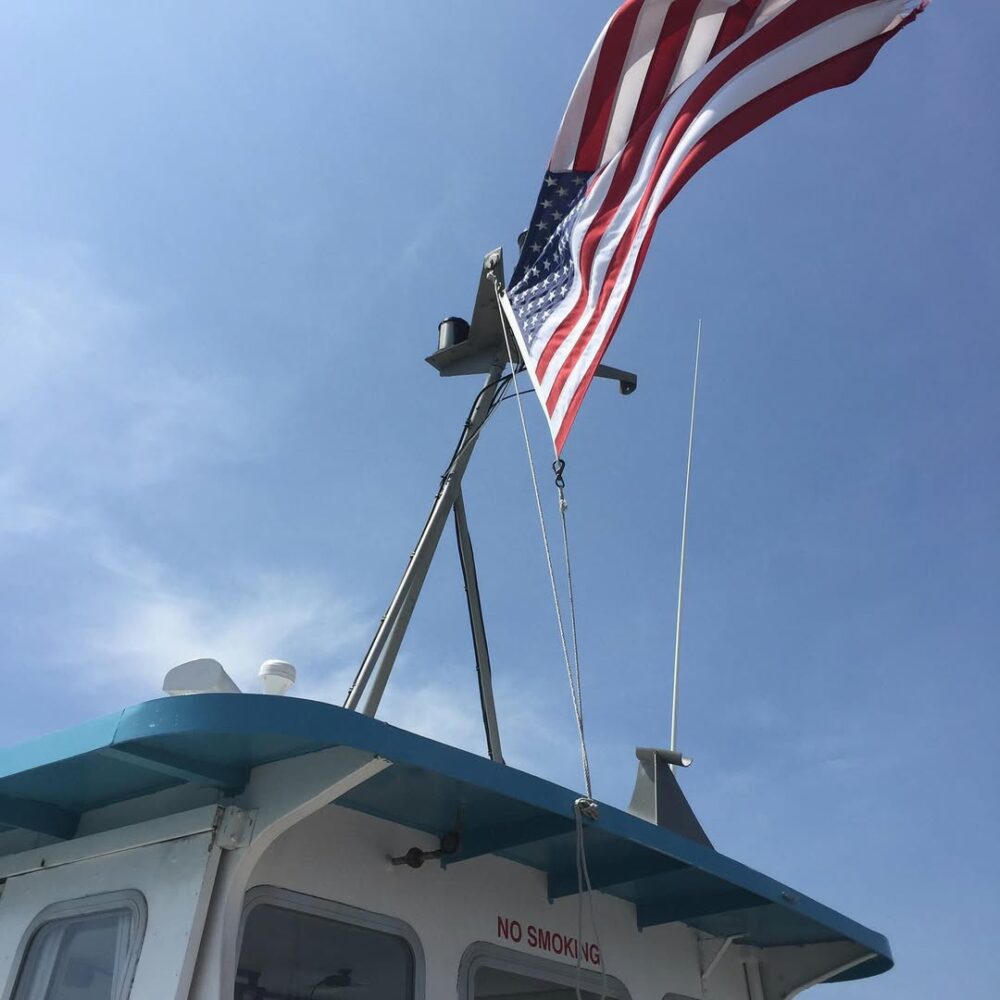 Well, hello old friend… #fireisland #fireislandp… - Antoine Vigne