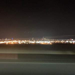 La fin du voyage, et puis New York illuminée, le … - Antoine Vigne