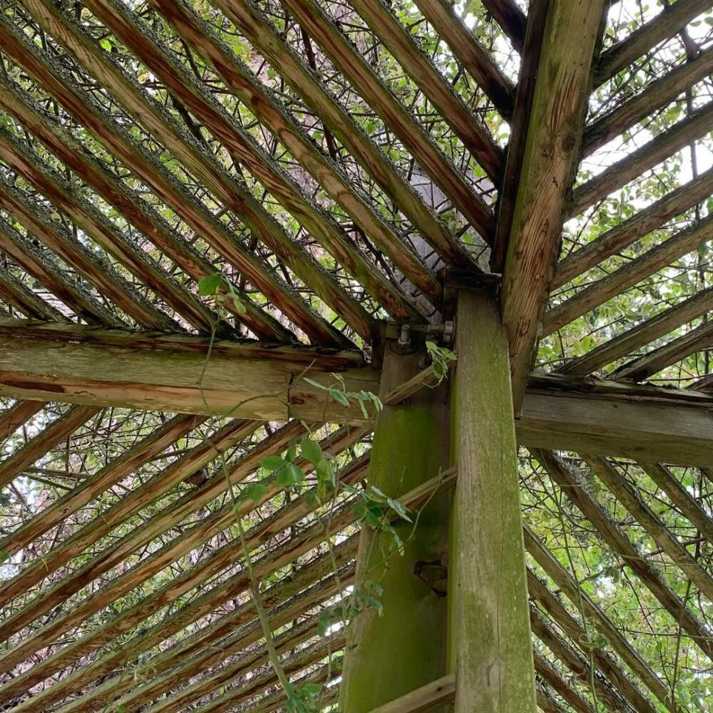 Something in this makes me happy… #shapesandform… - Antoine Vigne