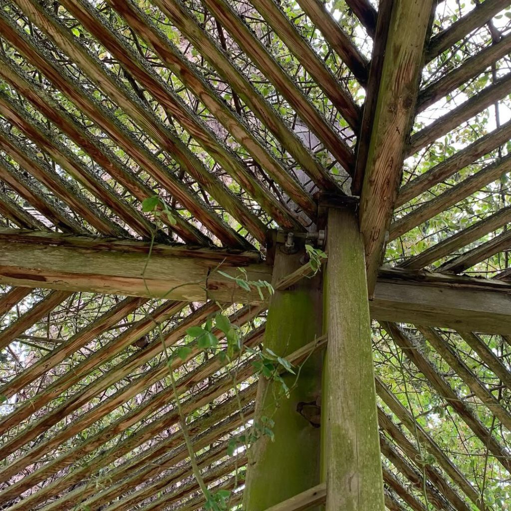 Something in this makes me happy… #shapesandform… - Antoine Vigne