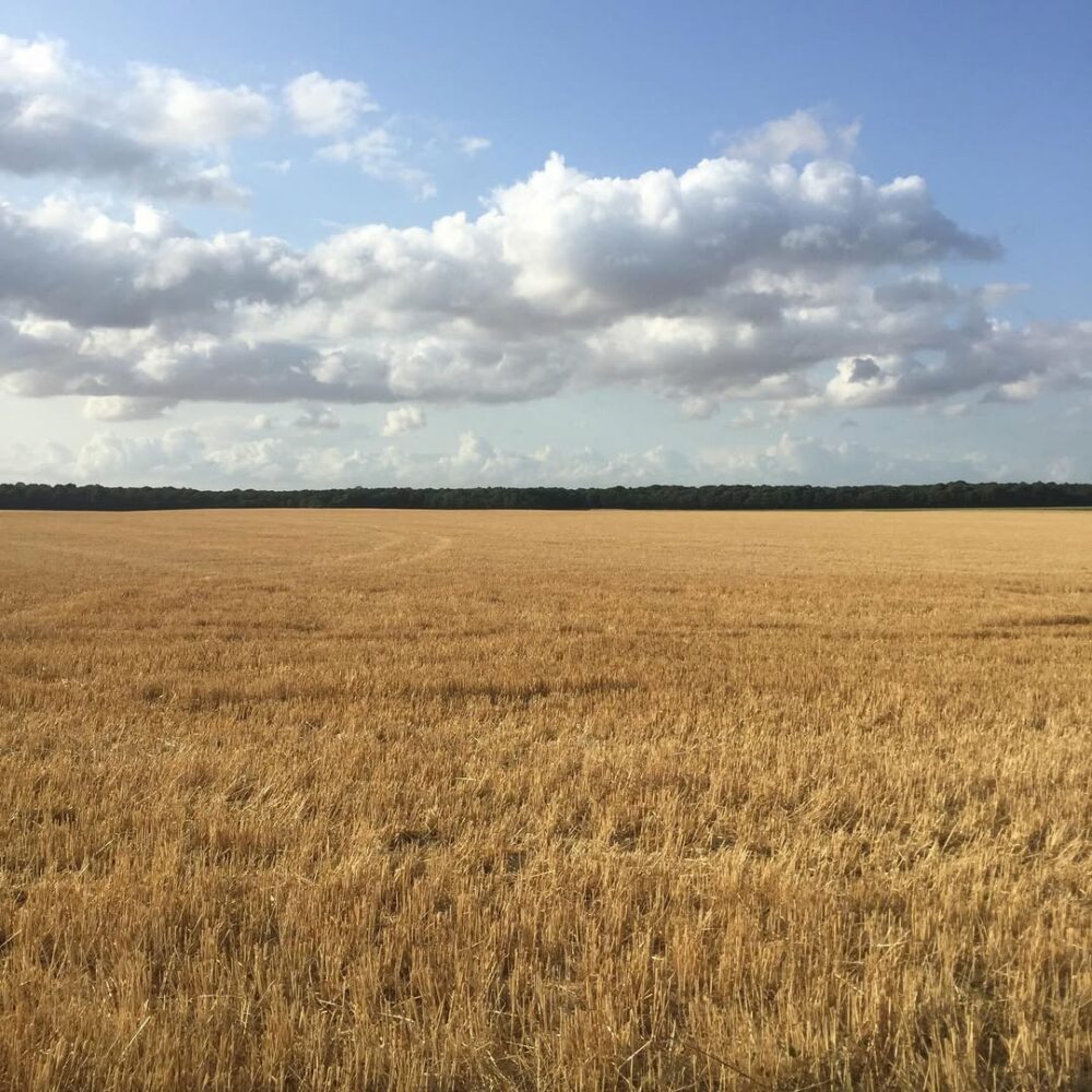 #home… - Antoine Vigne