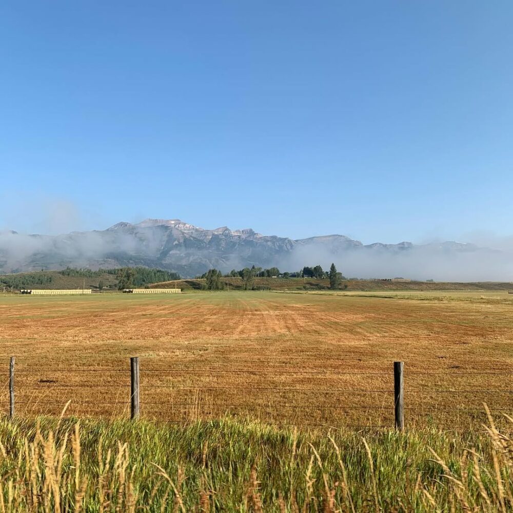 #morninginwyoming #brumeetsoleil #moose #élans #f… - Antoine Vigne