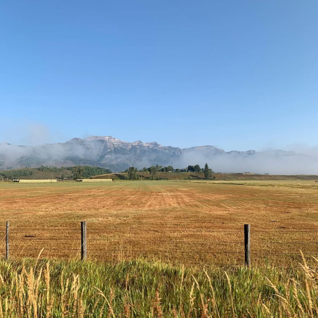 #morninginwyoming #brumeetsoleil #moose #élans #f… - Antoine Vigne