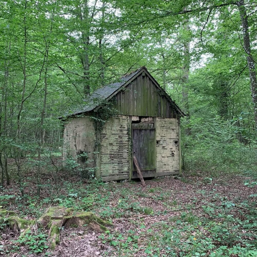 Sauleux, un jour d’été #marchenoir #forêt #me… - Antoine Vigne