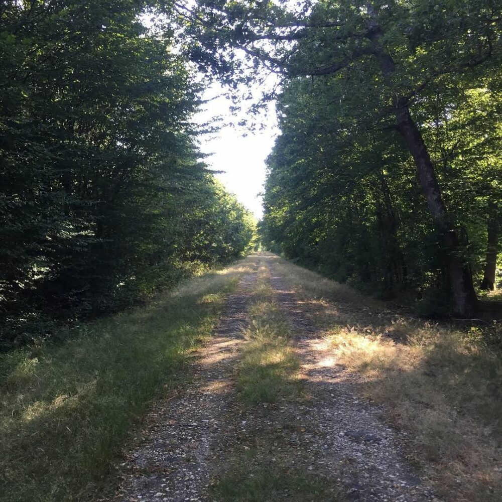 #home… - Antoine Vigne