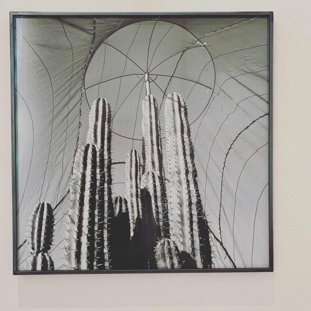 L’exposition Iturbide à la fondation Cartier où je… - Antoine Vigne