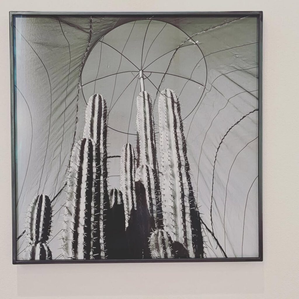 L’exposition Iturbide à la fondation Cartier où je… - Antoine Vigne