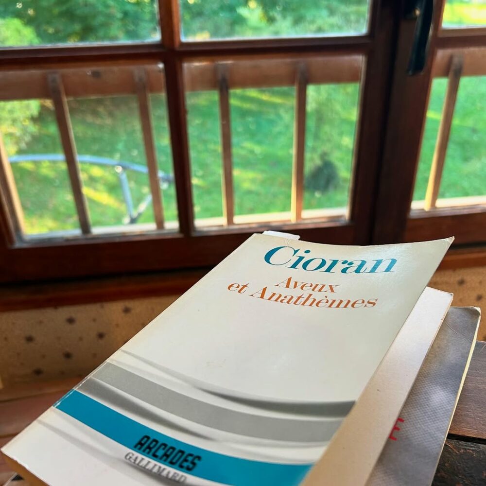 Les aphorismes de Cioran, certains poétiques, d’au… - Antoine Vigne