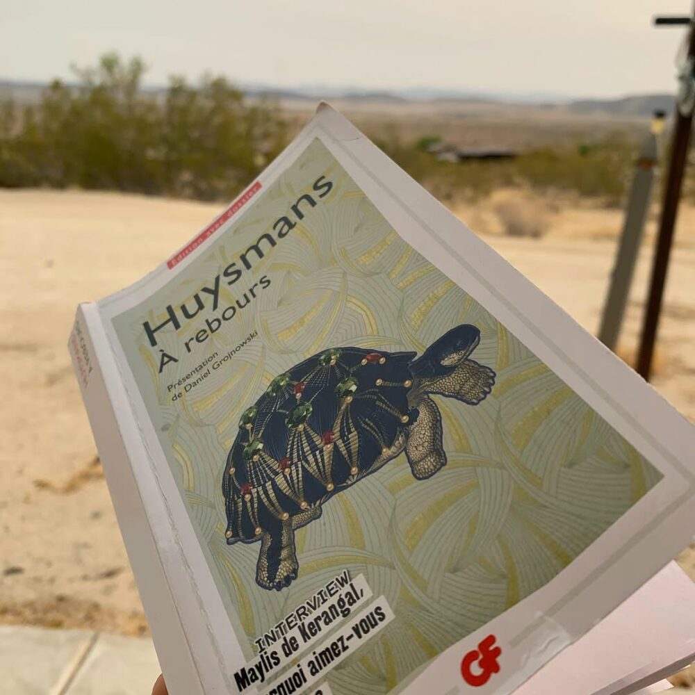 Joshua Tree, en Californie. Le haut désert, le s… - Antoine Vigne