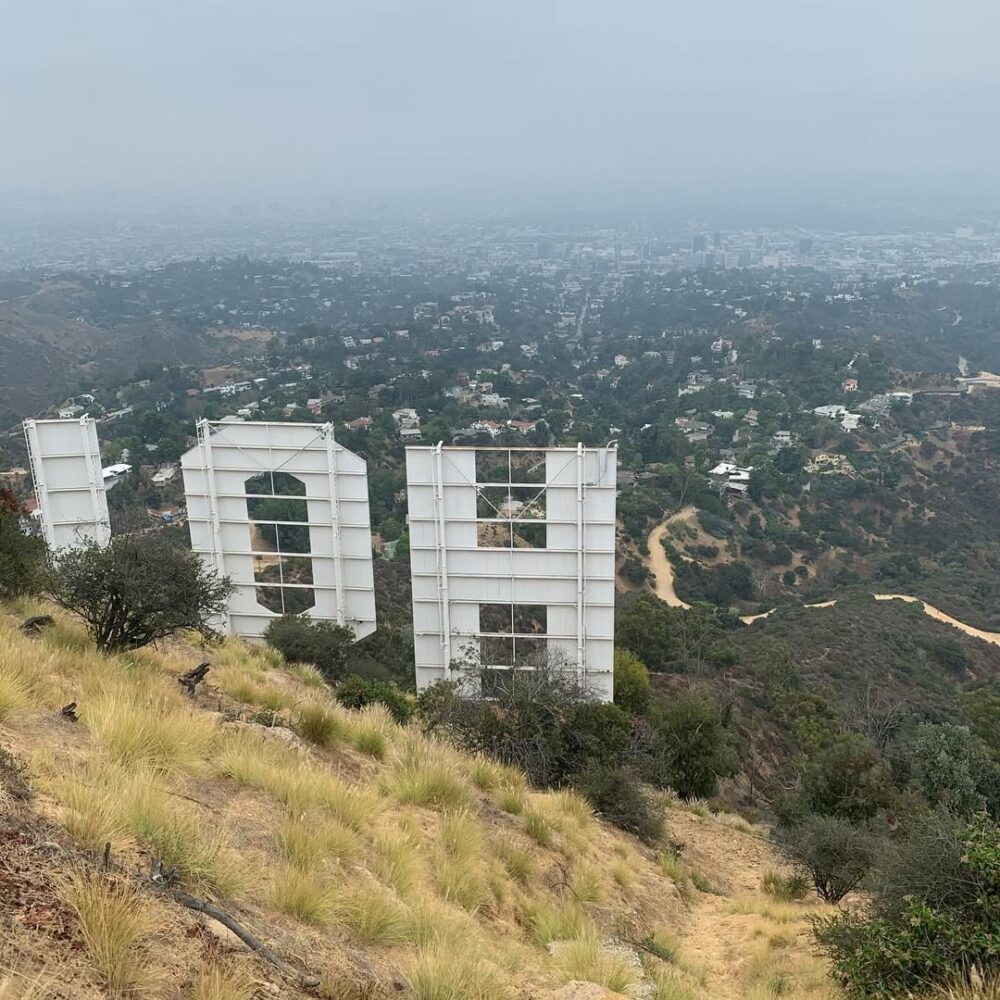 Marché ce matin jusqu’au grand signe Hollywood… - Antoine Vigne