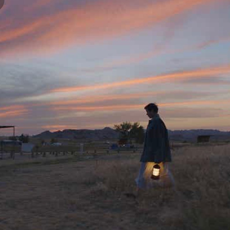 La beauté envoutante de Nomadland, le film Chloé… - Antoine Vigne