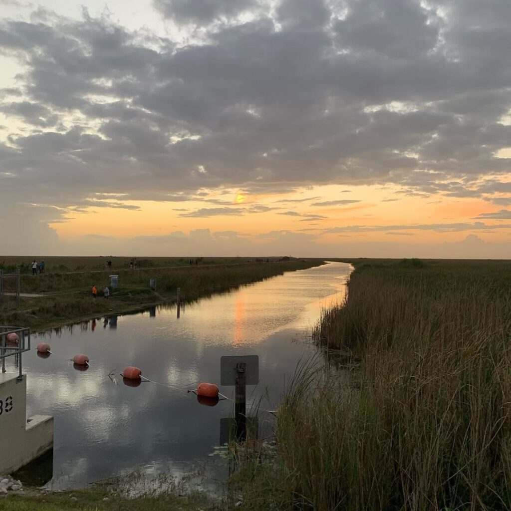 Une promenade dans les Everglades, la digue sur la… - Antoine Vigne