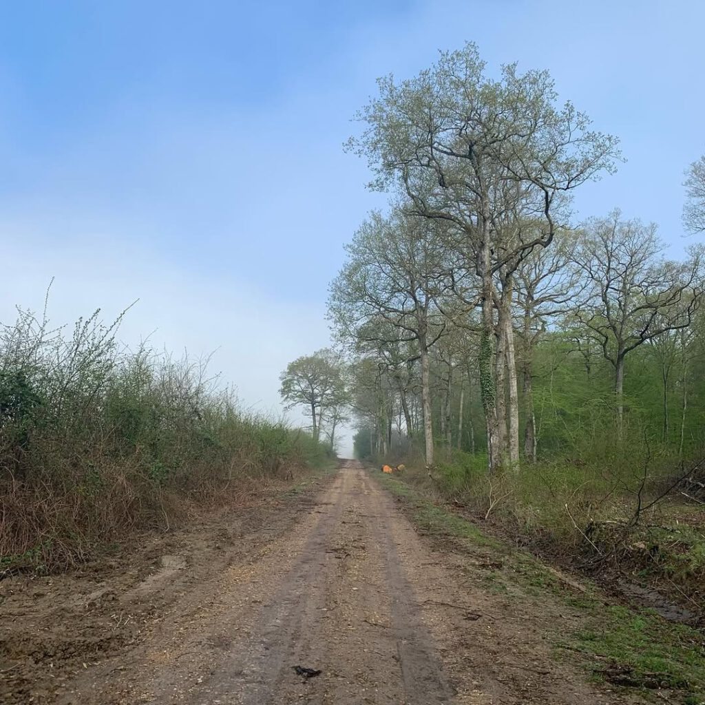 #courir #marchenoir #home #morningrun… - Antoine Vigne