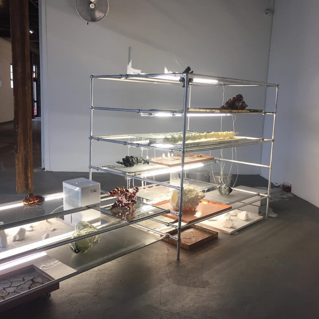Beautiful work of my fiend Will Lamson at the Knoc… - Antoine Vigne