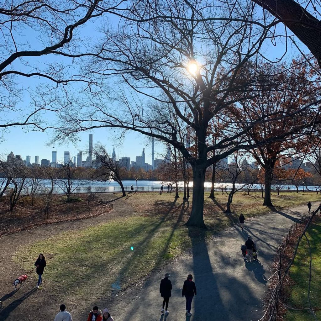 Un dimanche dans Central Park, la lumière de l’… - Antoine Vigne