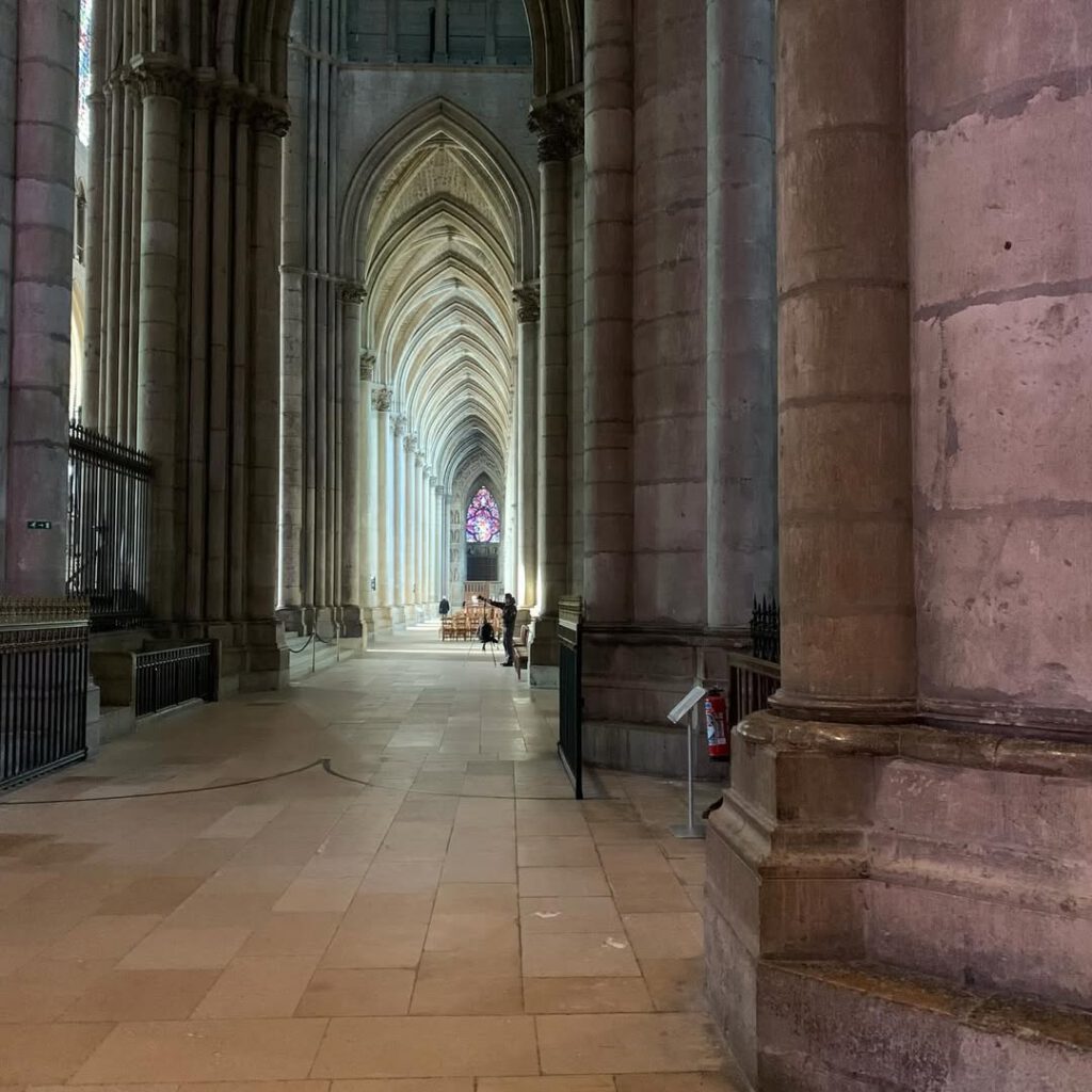 Reims aussi, la neige, la cathédrale, les rois im… - Antoine Vigne
